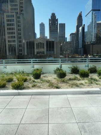 Chicago (USA), Dachterrasse