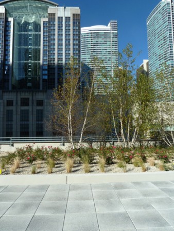 Chicago (USA), Dachterrasse