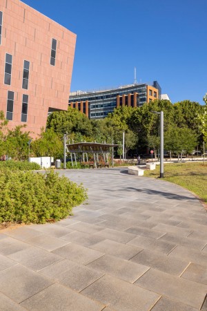 Tel Aviv (Israel), Urban Square