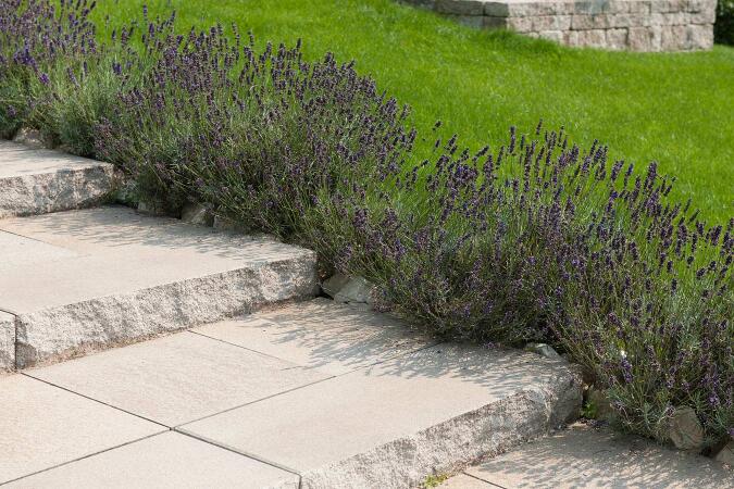 Umbriano Granitbeige gemasert